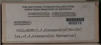Image Associated With the Occurence